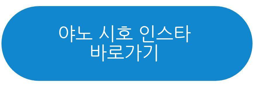 야노 시호 이혼설 불쾌감 표시