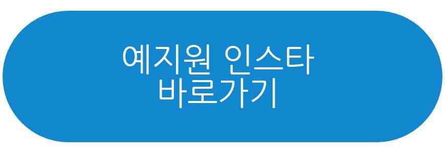 예지원
