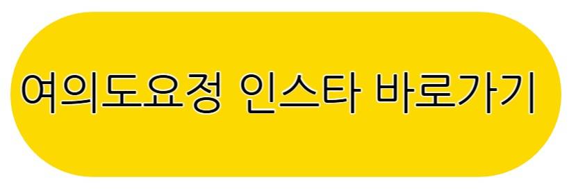 여의도요정