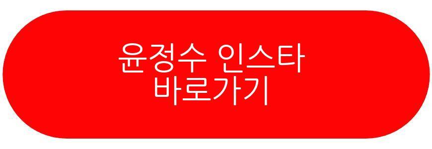 윤정수 원진서 해외여행
