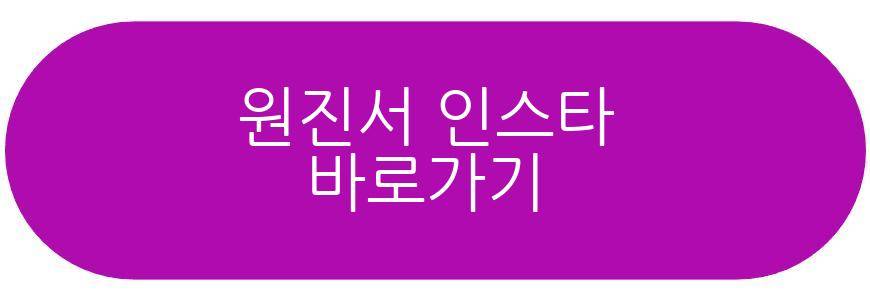 윤정수 원진서 해외여행